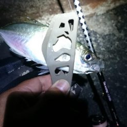 楽しい~アジング