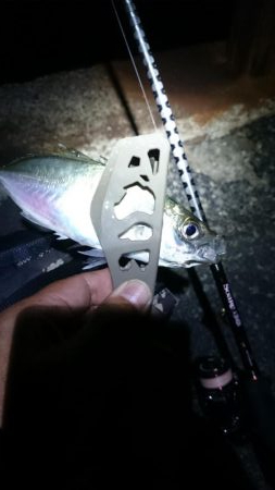 楽しい~アジング