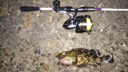 久々のみんなでメバリング♪