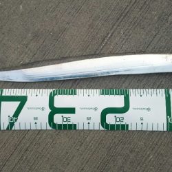 【新門司】タチウオ調査