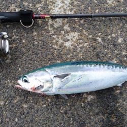 雨雲の切れ目に2