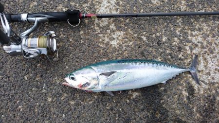 雨雲の切れ目に2