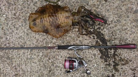 仕事おわりにちょろっとエギング