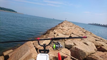 猛暑・海の日・チヌ