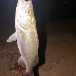 ゆっくり釣りしたい