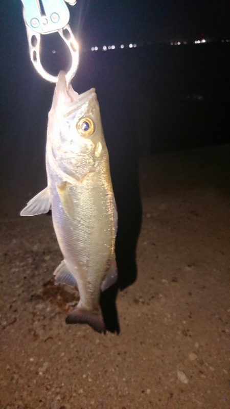 ゆっくり釣りしたい