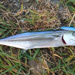 マイクロづくし