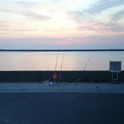 リベンジ夏キス釣行