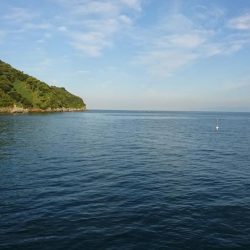 期待を込めて行ってみたものの