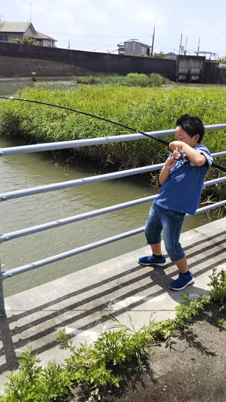 子供たちとシーバスフィッシング