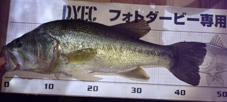 今日もカバーにピッタリ