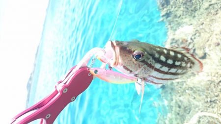 リーフエンドからルアーフィッシング