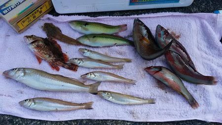 矢原でキス狙い