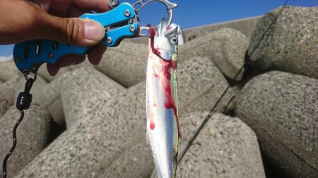 ショアジギング