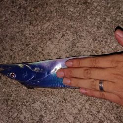 メートル超えならず