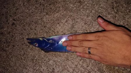 メートル超えならず