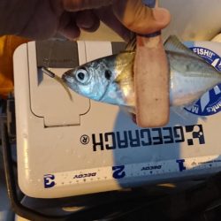 ボートアジング