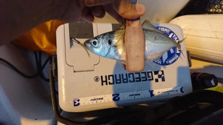 ボートアジング