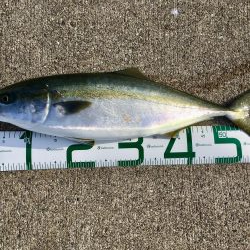 ナイスフィッシュ！