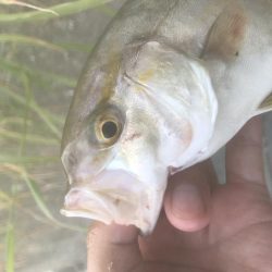 台風前にラスト試合