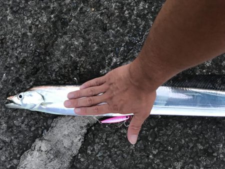 ショアジギング