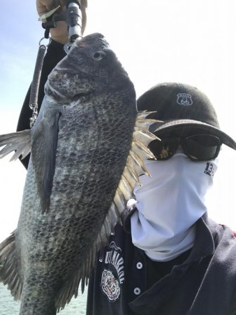 良型チヌ久々フカセで