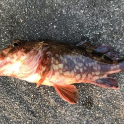 出勤前に。part14