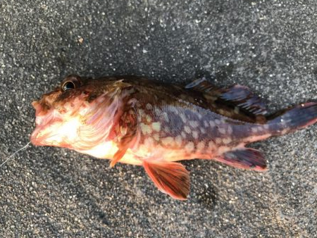 出勤前に。part14