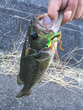 3連続ヒットで1キャッチ(汗)