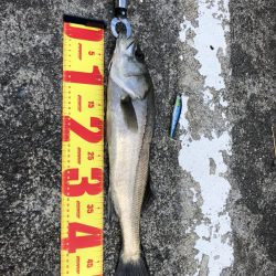 お久しぶりです