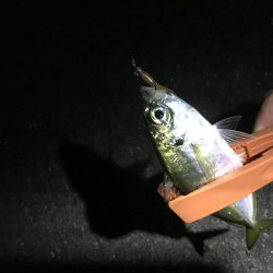 フロートアジング&持ち主探してます