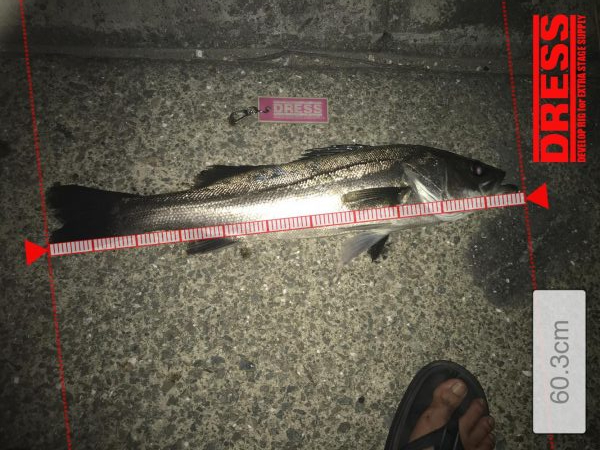 空き缶釣れた後のナイスフィッシュ
