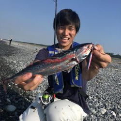周りがほぼ釣れていない中無双爆釣タイム