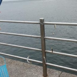 アジュール舞子で豆アジ!大サバ!