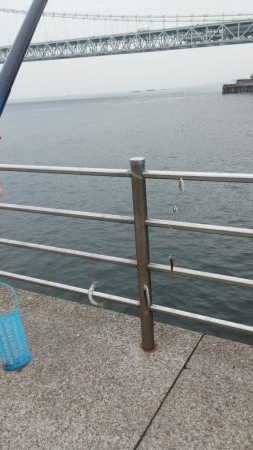 アジュール舞子で豆アジ!大サバ!