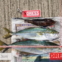 今期、初釣果‼️