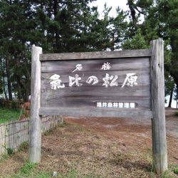 サーフでジギジギ