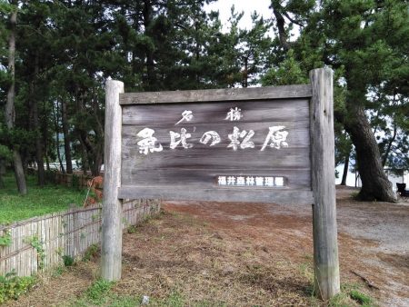 サーフでジギジギ