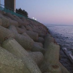 タチウオまだ　メバリング終了