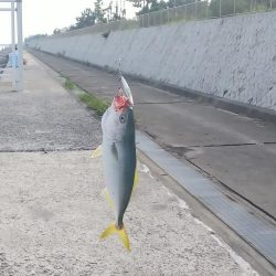 ツバスチャン・ベッテル