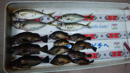 淡路島の夜釣り