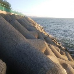 ジキング、ワインド、メバリング