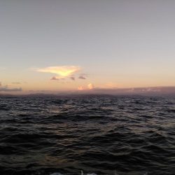 シブいっすねぇ〜