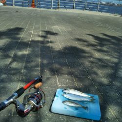 南港シーサイドコスモ