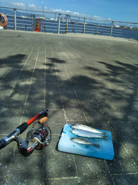 南港シーサイドコスモ