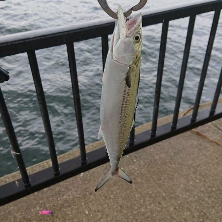 台風通過後に様子見