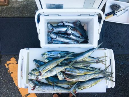 小浦一文字、ポッパーに好反応