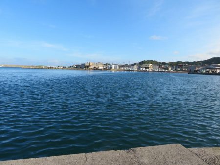 天ぷら狙いのキスは不発