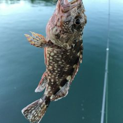 ガッシーマンション2nd