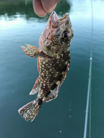 ガッシーマンション2nd